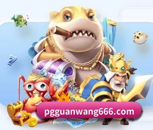 PG官网的故事